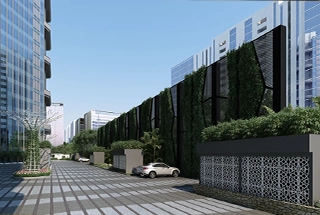 Car-Parking